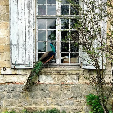 Chateau De - 1753 Bed & Breakfast Contay