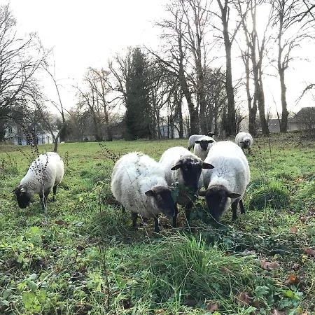 Chateau De - 1753 4* Contay