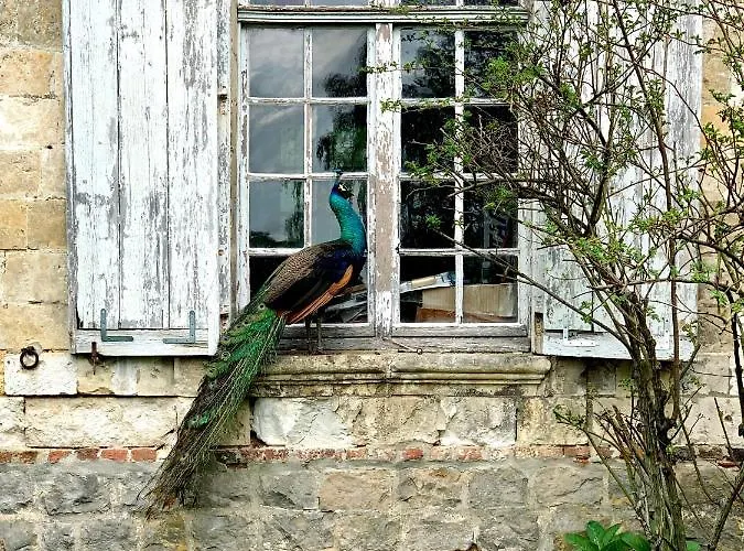 Chateau De - 1753 Frühstückspension Contay