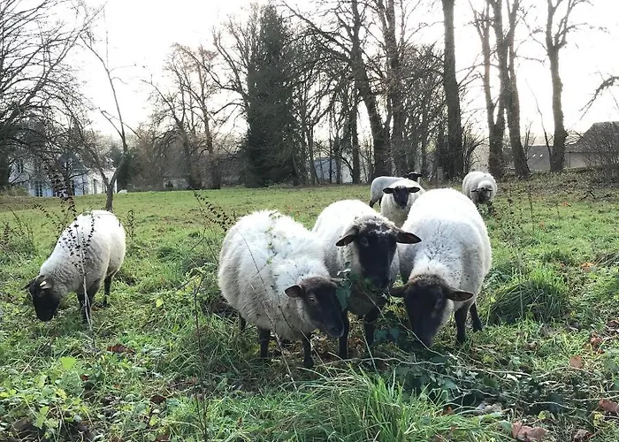 Chateau De - 1753 4* Contay